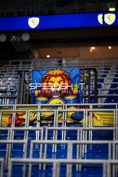 Fans der Rhein Neckar Löwen in der SAP Arena