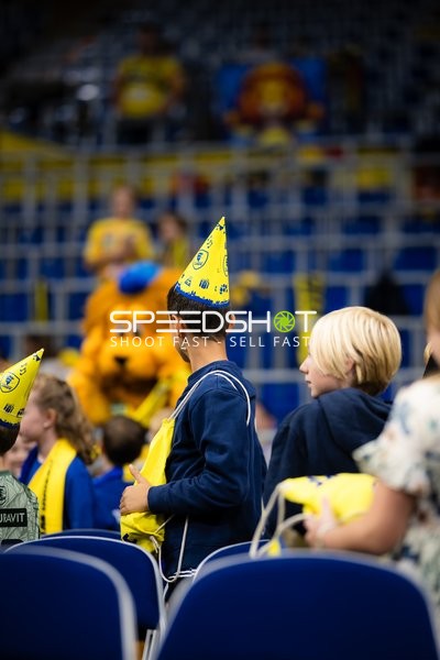 Fans der Rhein Neckar Löwen