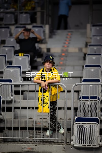 Fan der Rhein Neckar Löwen