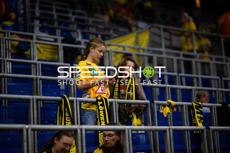 Fans der Rhein Neckar Löwen