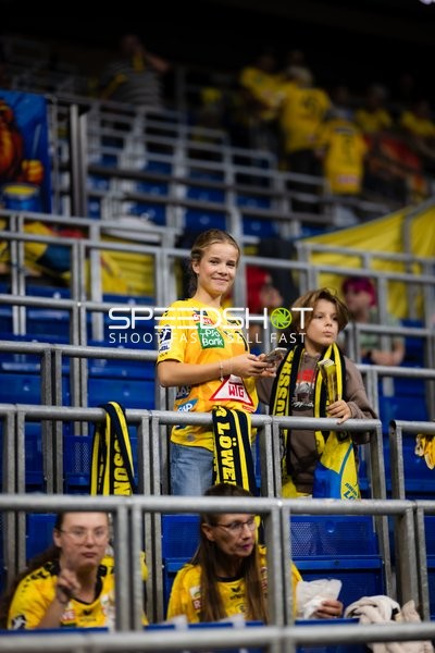Fans der Rhein Neckar Löwen