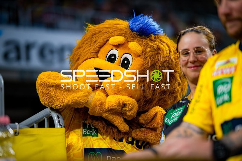 Kevin Gerwin (49; Rhein Neckar Löwen) positionieren sich