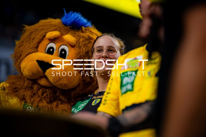 Team-Umfeld Rhein Neckar Löwen