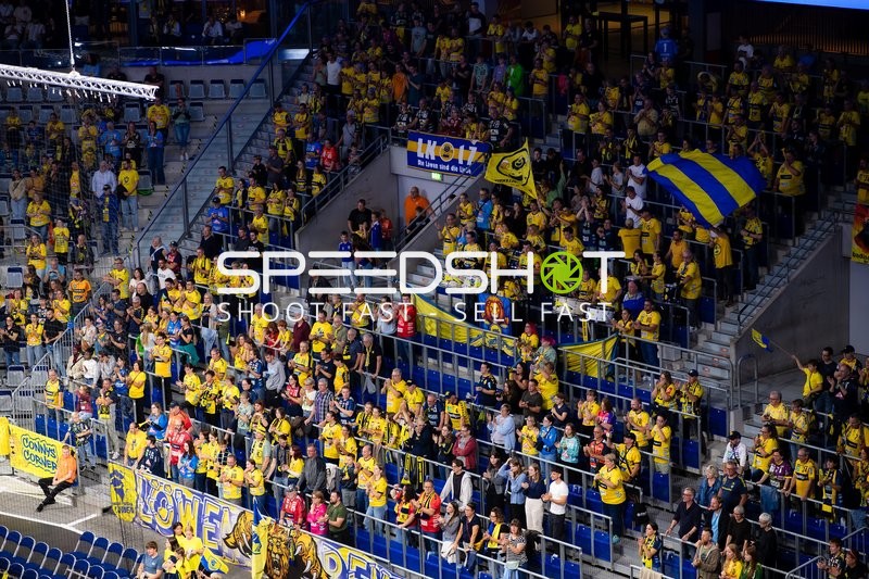 Fans der Rhein Neckar Löwen in Aktion