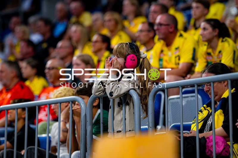 Fans der Rhein Neckar Löwen