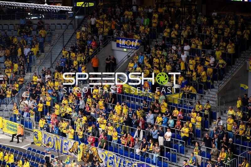 Fans der Rhein Neckar Löwen in der SAP Arena