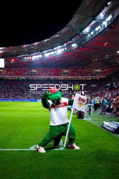 Maskottchen am Spielfeldrand