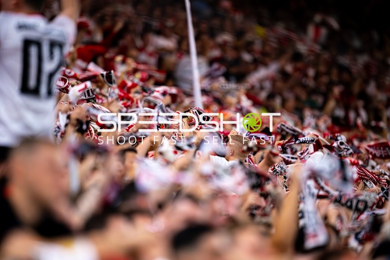 Fans feiern in Stuttgart