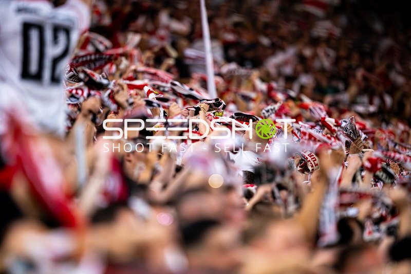 Fans feiern in Stuttgart