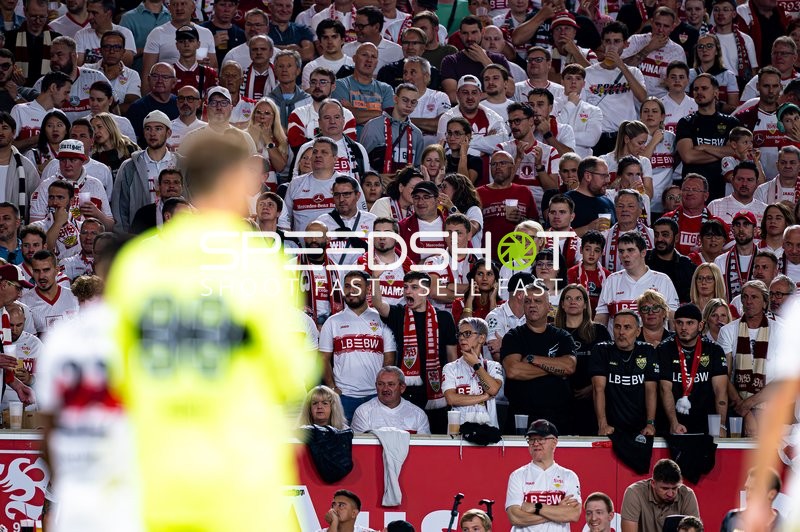 VfB Stuttgart Fans im Stadion