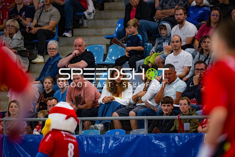 Fans verfolgen Handballspiel