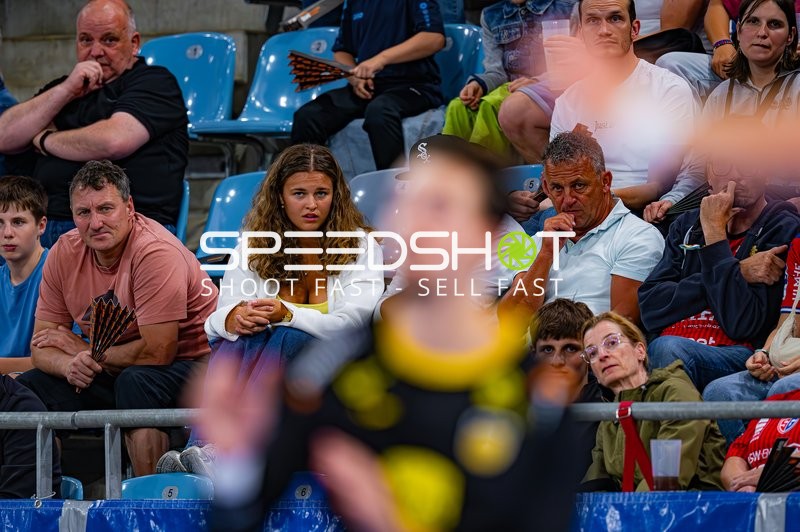 Zuschauer bei Handballspiel