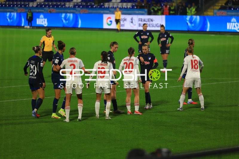 TSG Hoffenheim und 1. FC Nürnberg in Aktion