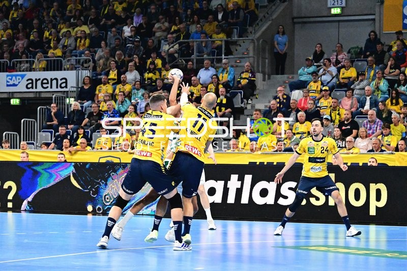 Gemeinsame Verteidigung der Rhein-Neckar Löwen im Kreis