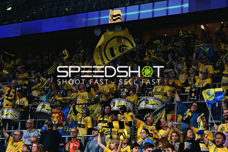 Fans der Rhein Neckar Löwen feiern