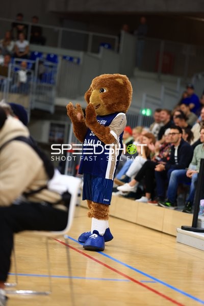 Maskottchen von MLP Academics Heidelberg auf dem Spielfeld