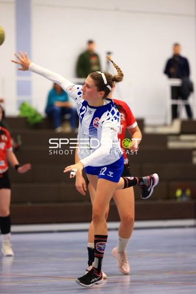 Spielszene Handball Oberliga