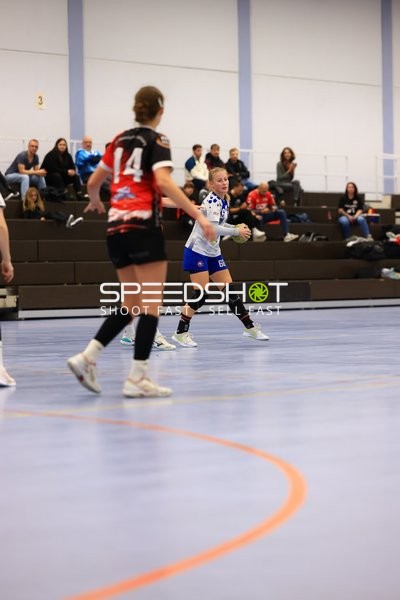 Spielszene Handball Oberliga