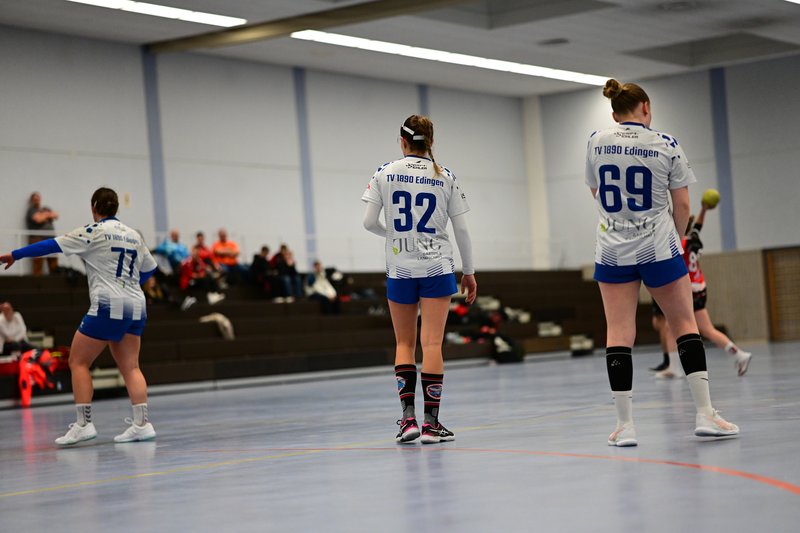 32; TVE - Edinger Haie, 69; TVE - Edinger Haie und 77; TVE - Edinger Haie auf dem Spielfeld