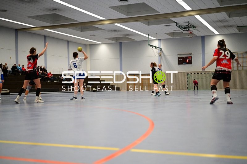 6; TVE - Edinger Haie mit Ball in Wurfposition