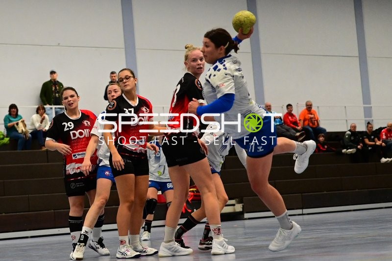 77; TVE - Edinger Haie wirft