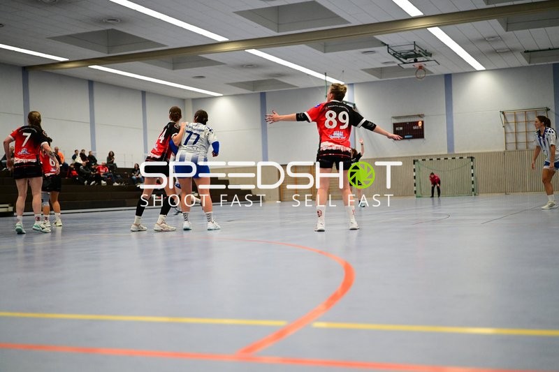 Abwehr von TVE - Edinger Haie vor dem Tor