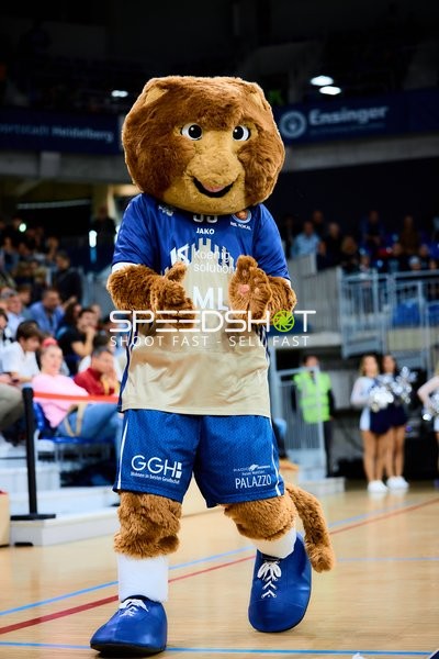 Maskottchen Accy (99; MLP Academics Heidelberg) auf dem Court