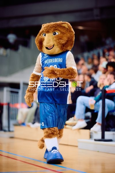 Maskottchen Accy (99; MLP Academics Heidelberg) auf dem Spielfeld