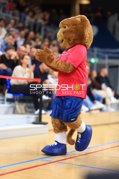 Maskottchen Accy (99; MLP Academics Heidelberg) auf dem Spielfeld