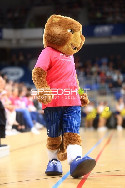 Maskottchen Accy (99; MLP Academics Heidelberg) auf dem Spielfeld