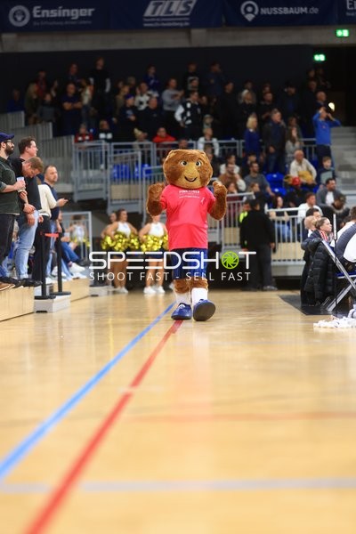 Maskottchen Accy (99; MLP Academics Heidelberg) auf dem Spielfeld