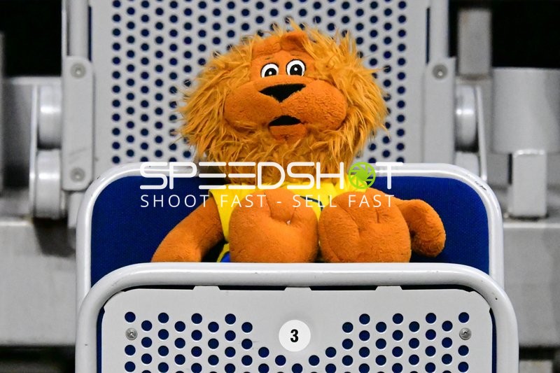 Maskottchen in der SAP Arena