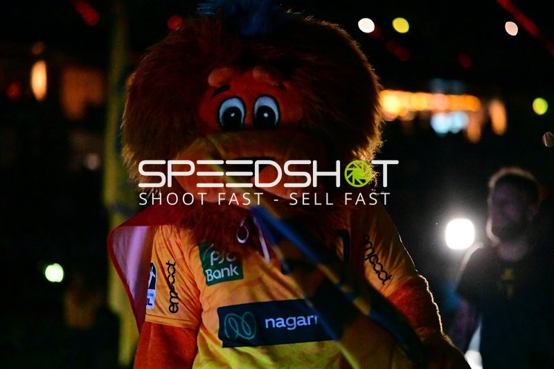 Maskottchen von Rhein Neckar Löwen mit Fahne