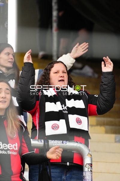 Fan jubelt im Stadion