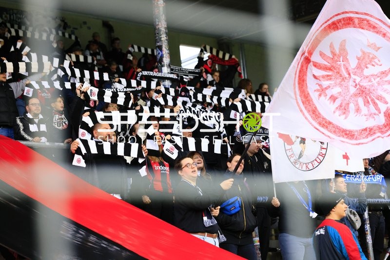 Fans feiern im Stadion