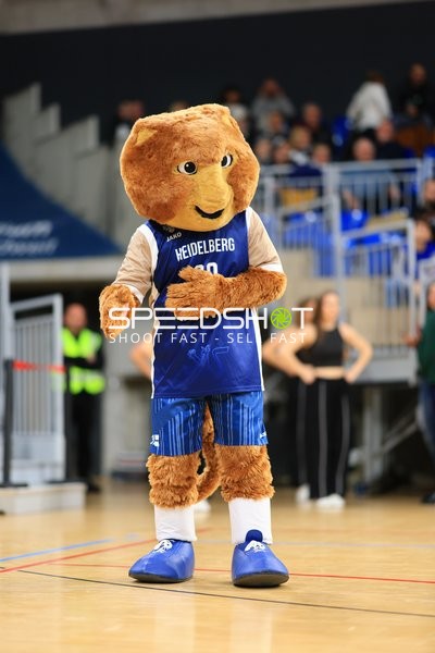 Maskottchen Accy (99; MLP Academics Heidelberg) auf dem Spielfeld