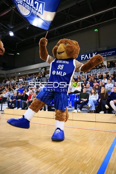 Maskottchen Accy (99; MLP Academics Heidelberg) mit Fahne