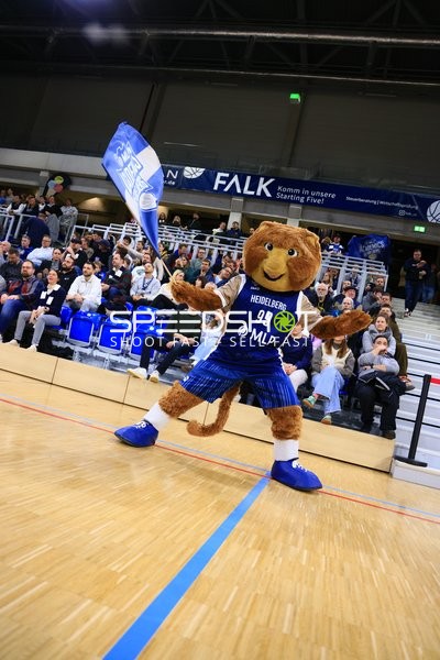 Maskottchen Accy (99; MLP Academics Heidelberg) mit Fahne in der Halle