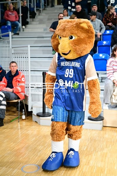 Maskottchen Accy (99; MLP Academics Heidelberg) in der Halle