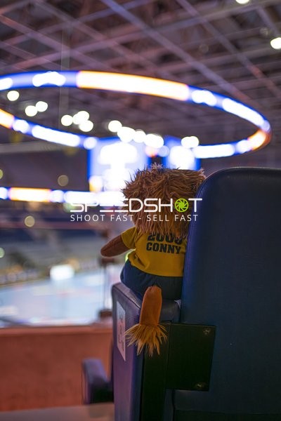 Kuscheltier in der SAP Arena