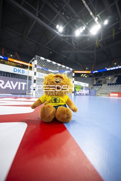 Maskottchen der Rhein-Neckar Löwen auf dem Spielfeld