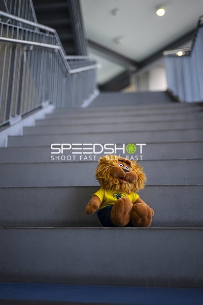 Maskottchen der Rhein-Neckar Löwen auf Treppe