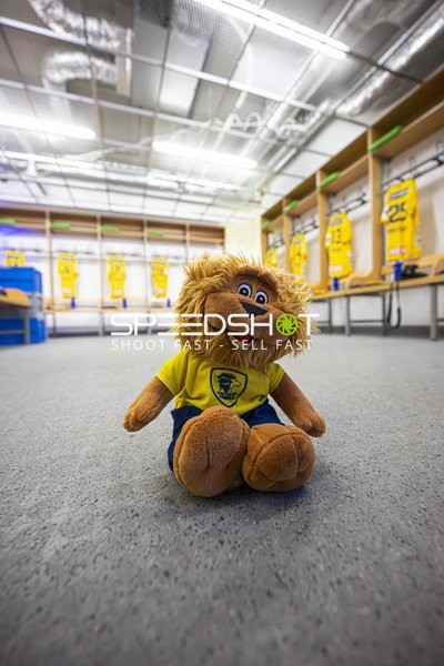 Kabine der Rhein-Neckar Löwen mit Maskottchen