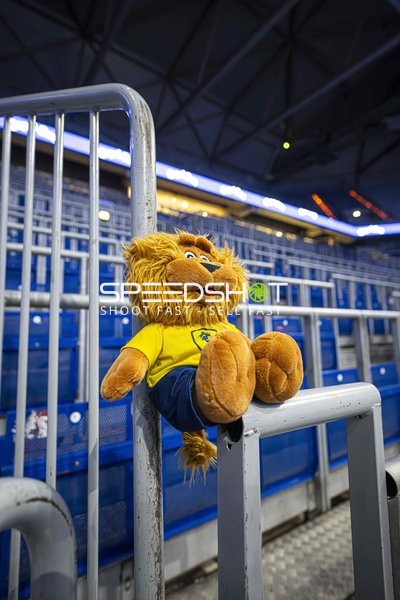 Maskottchen der Rhein-Neckar Löwen in der SAP Arena