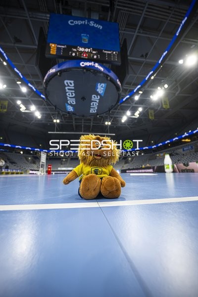 Maskottchen auf dem Spielfeld