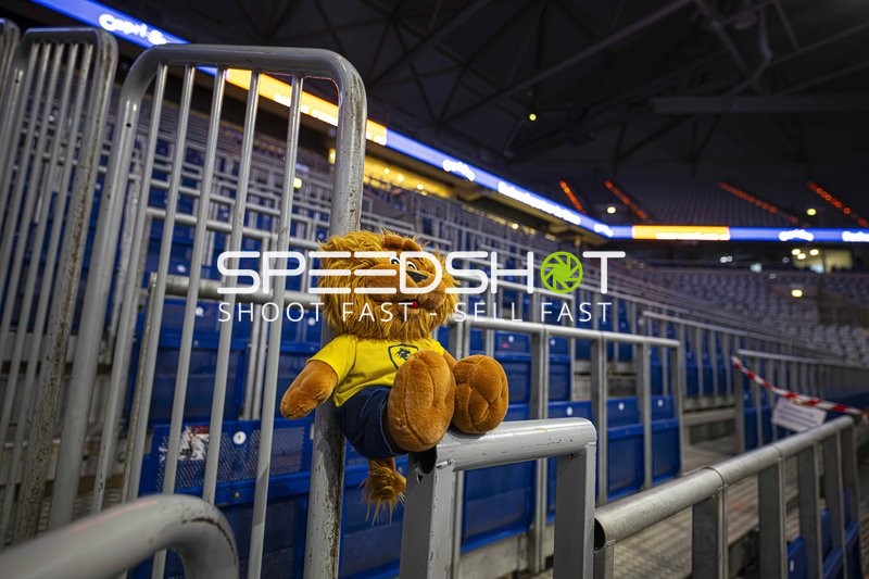 Maskottchen in der SAP Arena