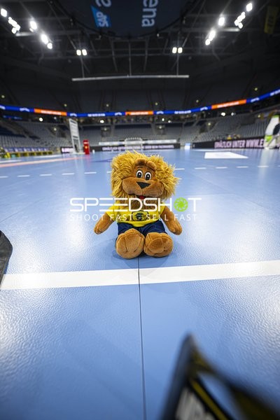 Maskottchen auf dem Spielfeld