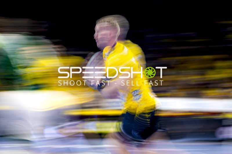 Wurf von Rhein Neckar Löwen