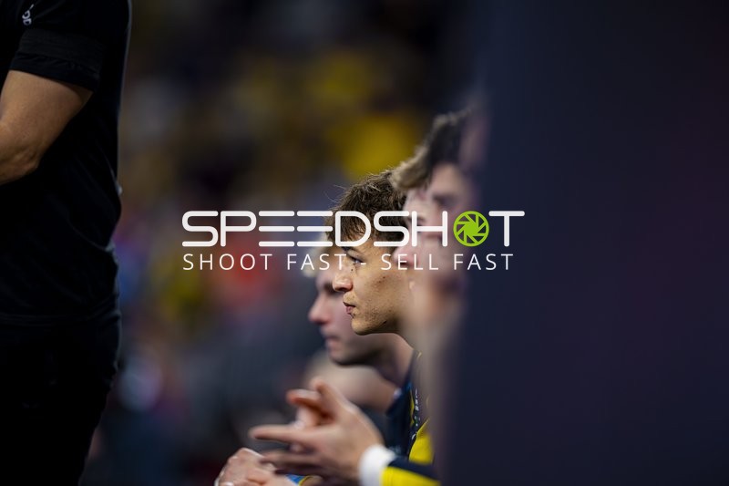 Spieler von Rhein Neckar Löwen auf der Bank