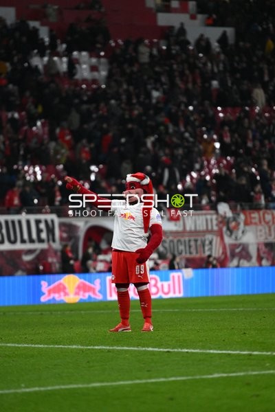 Maskottchen auf dem Spielfeld